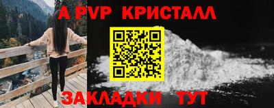 стафф Тара
