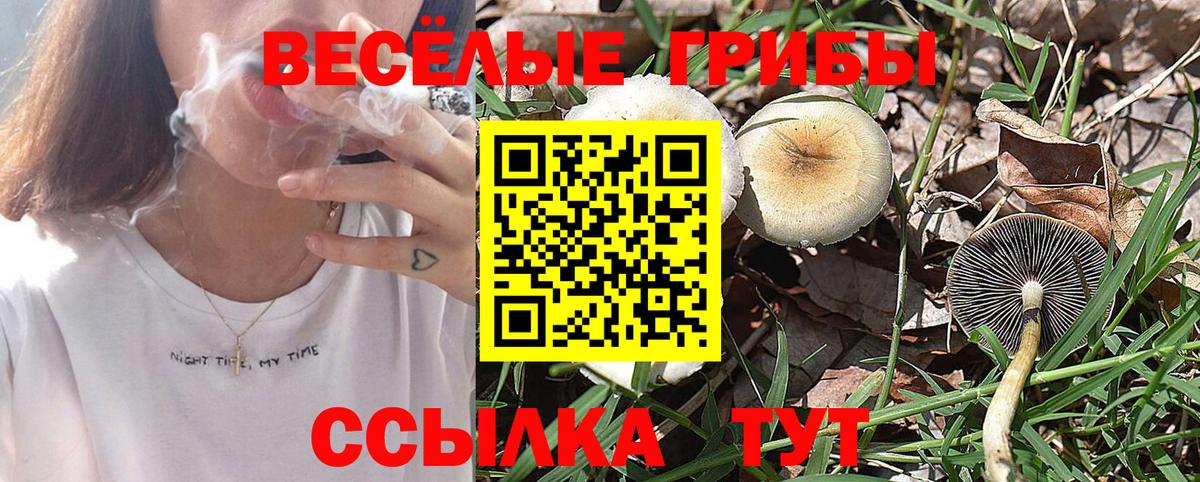 Галлюциногенные грибы мицелий Назарово